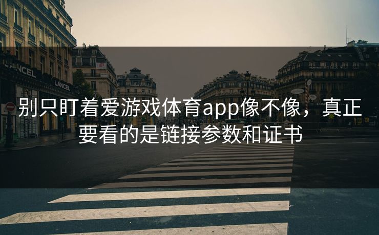 别只盯着爱游戏体育app像不像,真正要看的是链接参数和证书