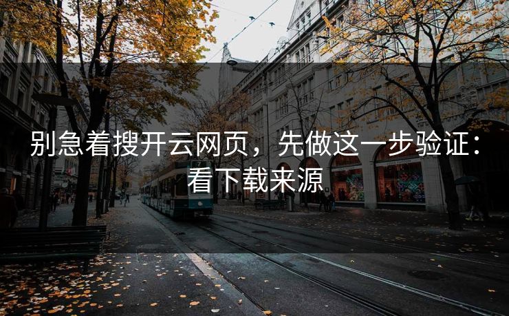 别急着搜开云网页，先做这一步验证：看下载来源